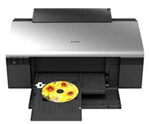 Принтер Epson Stylus Photo R290